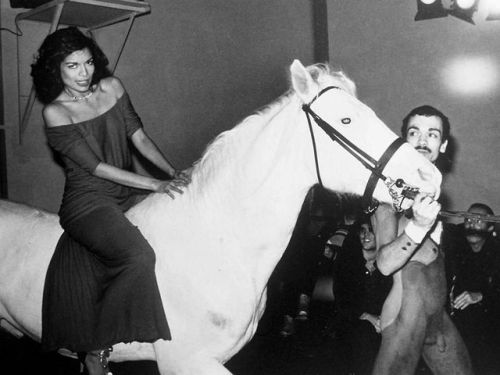 Bianca Jagger riding on a horse into Studio 54