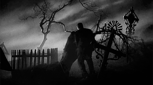 classichorrorblog - Bride Of FrankensteinDirected by James Whale...