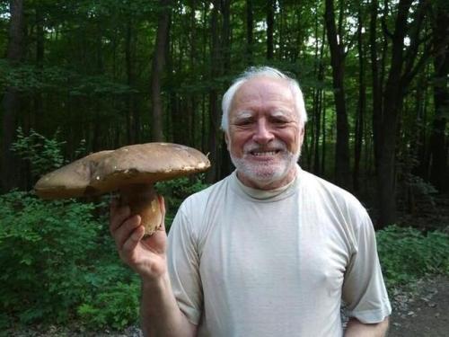 Multifaceted Mushrooms