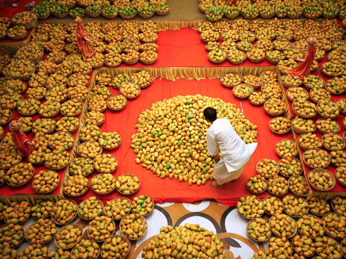 bobbycaputo - Mango Festival, IndiaPhotograph by Amit Dave,...