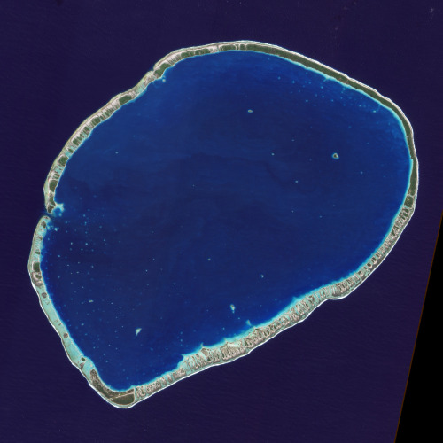 reretlet - Tikehau Atoll, French Polynesia(via taizooo)