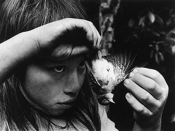 wonderfulambiguity:
“Carol Yarrow; Boy with Bird, 1999
”