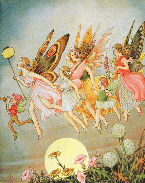 obsessedwithfairytales - by Ida Rentoul Outhwaite