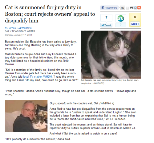 afloweroutofstone - toralei - jury duty cat“I think cats should...