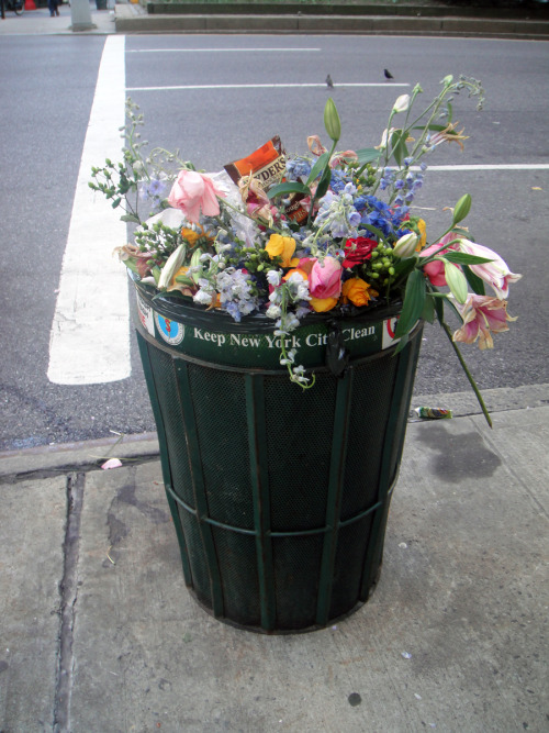 hadaes - a bin in NYC after valentine’s day