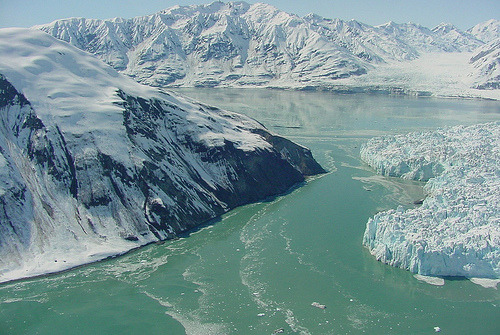 fungi:glaciers turn the arctic ocean an opaque green color
