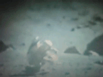 wavesoftware:This is a GIF set of Astronauts falling on the Moon