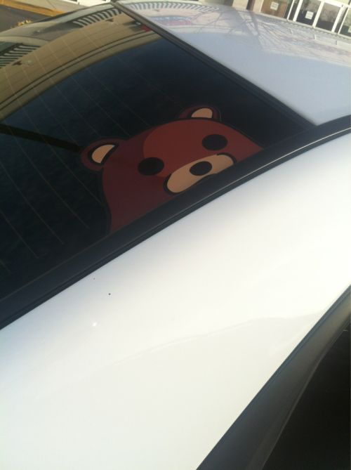 l0velyeuly - Some guy with Pedo Bear on his car.Haha this is...