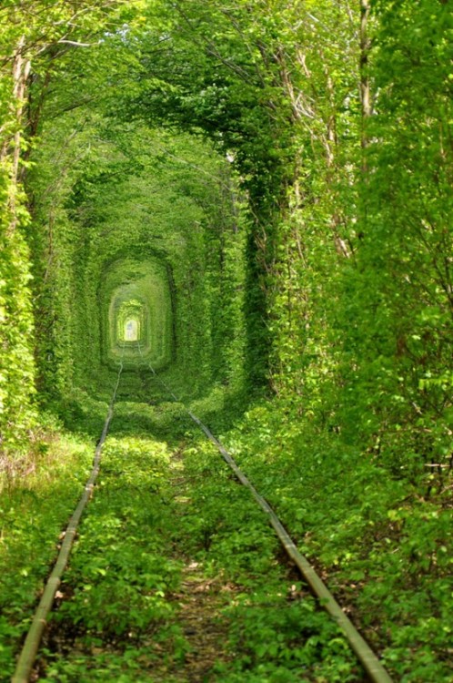 Ukraine’s Stunning Green Mile Tunnel