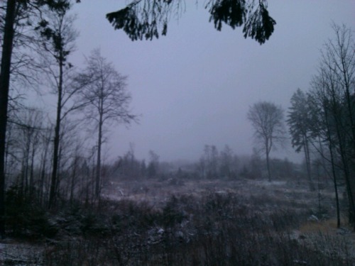 morgenrothe - First snow!