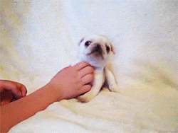 the-absolute-best-gifs - Aw booboo