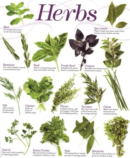Natural Herbs For Iron 18