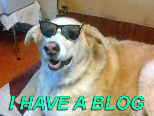 alexernst:dog with a blog