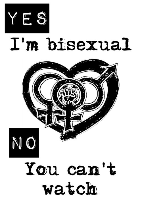 bidyke - New graphic - a bifeminist sign for SlutWalksI...