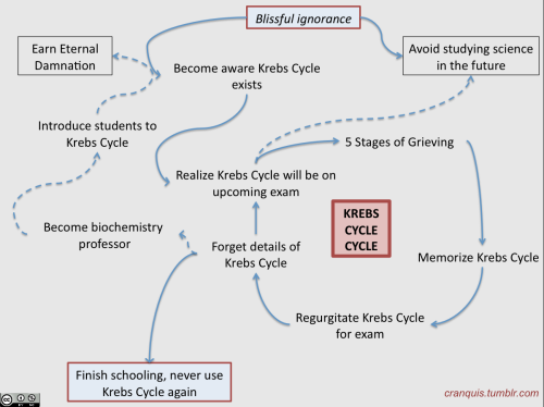 dxmedstudent - cranquis - The Krebs Cycle Cycle(Inspired by the...
