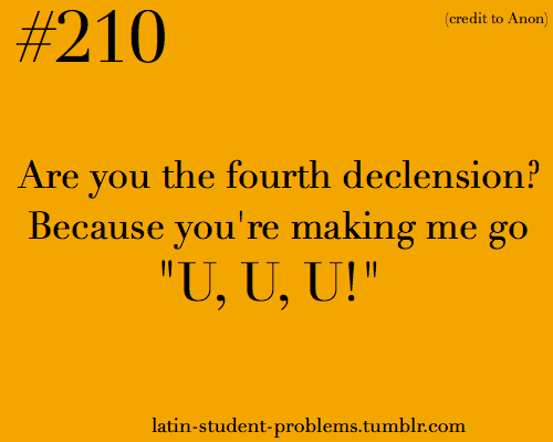Funny Latin Jokes 99