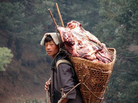 Image result for sherpas of nepal