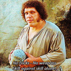 thebobblehat:andregeleynse:The Princess Bride needs to show...