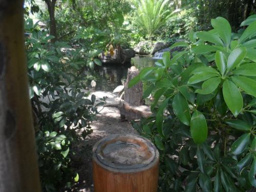 theadventurechild - Jungle/tropical blog