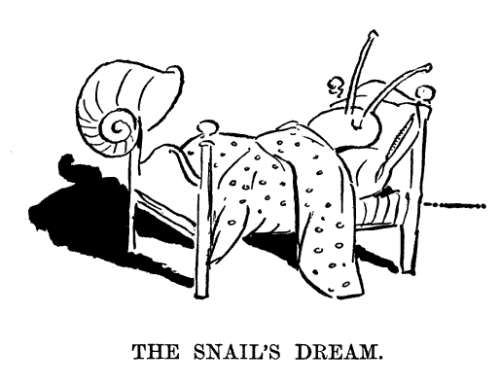 zoomar - The Snail’s Dream