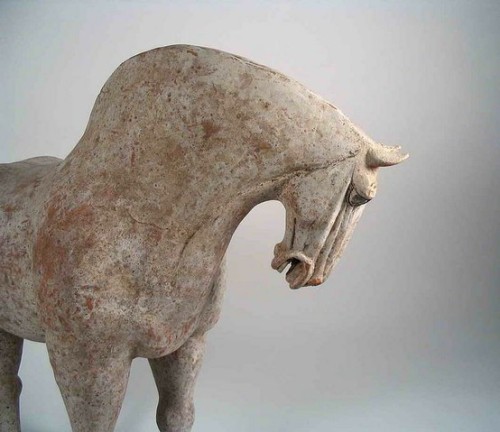 detail-detail-detail - Tang Dynasty Pottery Horse 618-906...