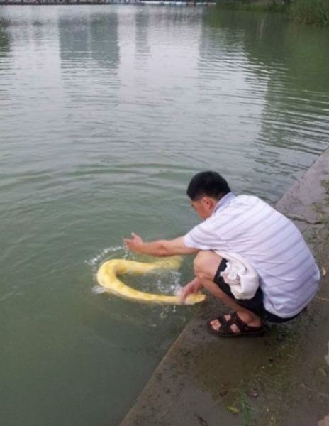 nefepants - ewok-gia - Changzhou, China. Man  bathes  his Burmese...