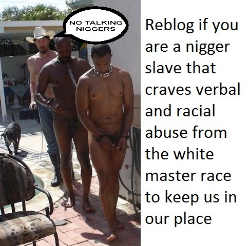 redneckcockslave - This nigger craves racial, verbal and sexual...