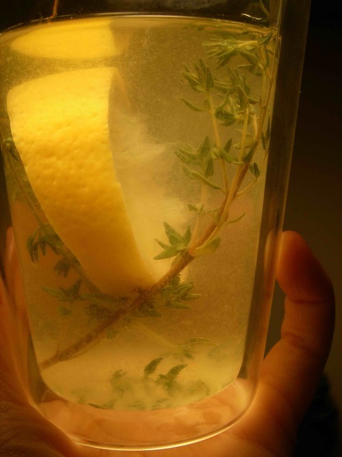 lemon thyme tea