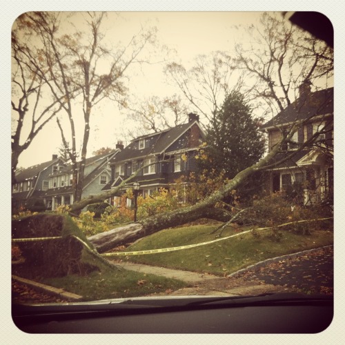 Well, we survived Sandy! All family and friends are safe....