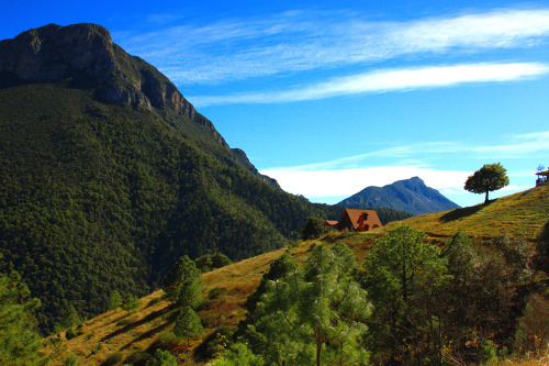 cabinporn - Mesa del Oso in Sierra Madre Oriental in Northeast...