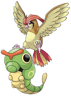 Pretty sure Ash had both of these Pokémon.  In the immortal words of Misty, "bird eat worms, mister Pokémon Master!"  There must be a reason trainers' Pokémon don't constantly eat each other.