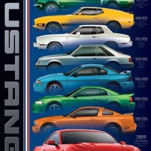 Ford: Mustang- 50 Years 9 Types Posters at AllPosters.com